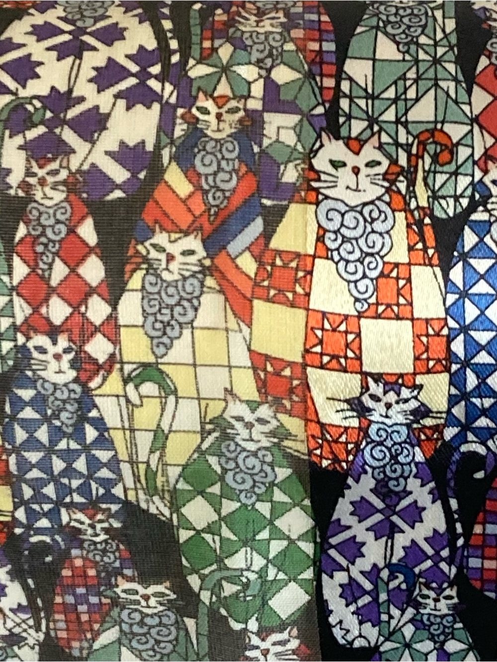 Multi-Color Patterned Women's Scarf - Picture 7 of 10
